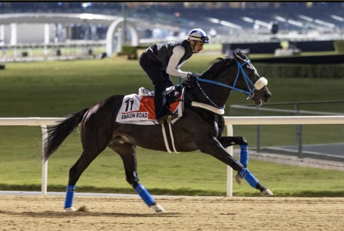 بأداء مشرف 
البطل امبلم رود 
يحل في المركز الثالث 
في #كأس_دبي_العالمي 
كل التبريكات لصاحب السمو الملكي 
الأمير سعود بن سلمان 
هذا الأداء 

والشكر ايضا لطاقم الاسطبل كافه
ومن ضمنهم الخيال / مشاري العيسى