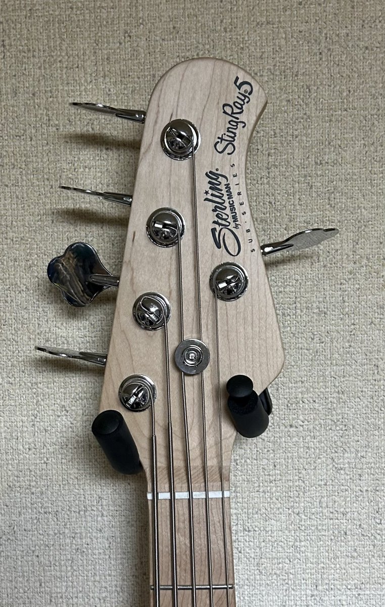 hanzoh_kuro's tweet photo. 1日1本所持ベース上げ20日目
Sterling by Muic Man / SUB StingRay Ray5
StingRayの5弦が欲しかったけどそんな金もなく妥協してこれを。普通に良い音だけどStingRayぽくないのでダンカンのPUに交換したら大化けして途端にStingRayの音に。
#ベース #Sterling #MUSICMAN #Ray5 https://t.co/QUNs4lVkTc