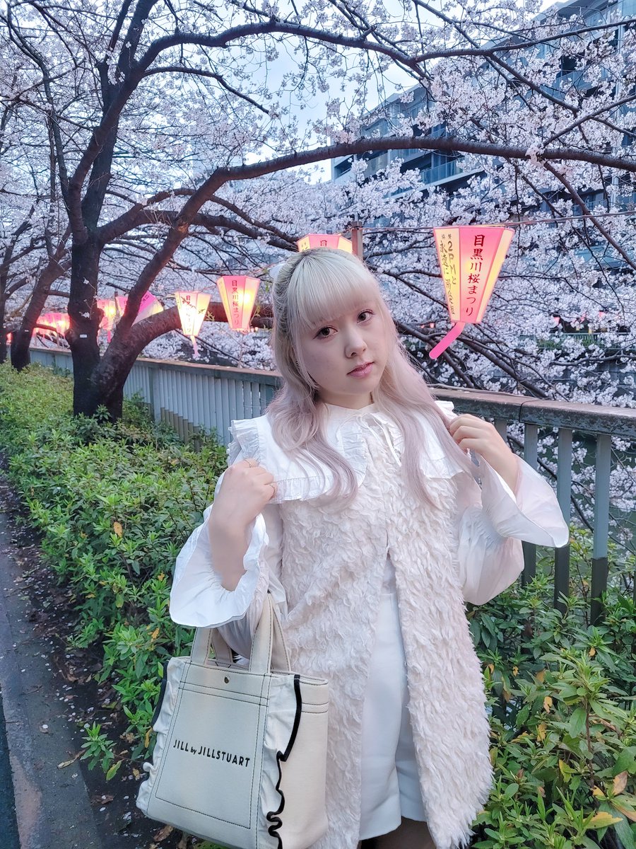 _asa_a_'s tweet photo. 目黒川行ってきた！🌸🫧 https://t.co/3dOQ0Ldc97