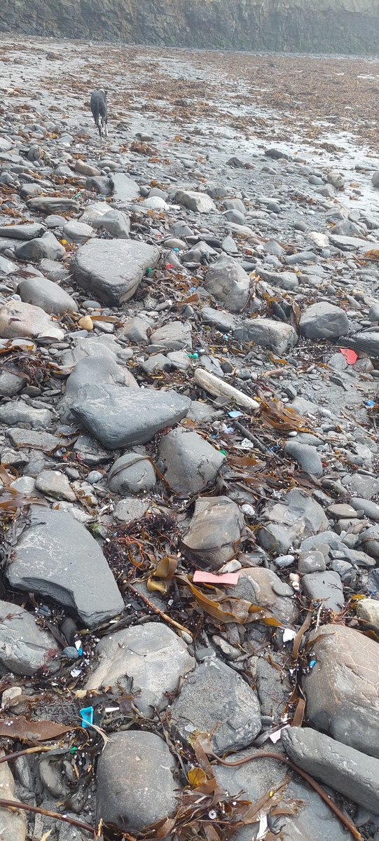 AnnaMantz's tweet photo. Complete carnage of plastic #pollution in Kimmeridge Bay and Highcliffe yesterday 😭 @DorsetCouncilUK @Bournemouthecho @BBCDorset https://t.co/fM8a814K70