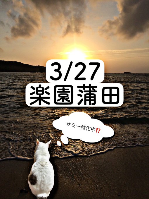 3/27の猫稼働🐈🐈🐈‍⬛猫2.5匹楽園蒲田❼のつく日主なエサ場🌺ハナに仕掛け🈶🆕3/31に向けてサミー強化中⁉️❼の日