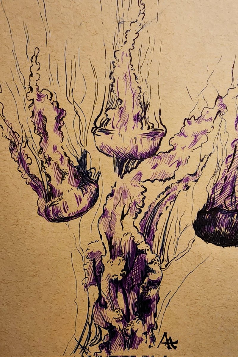 Jellyfish!! Quick sketch with ink #art #artwork #ink #jellyfish
