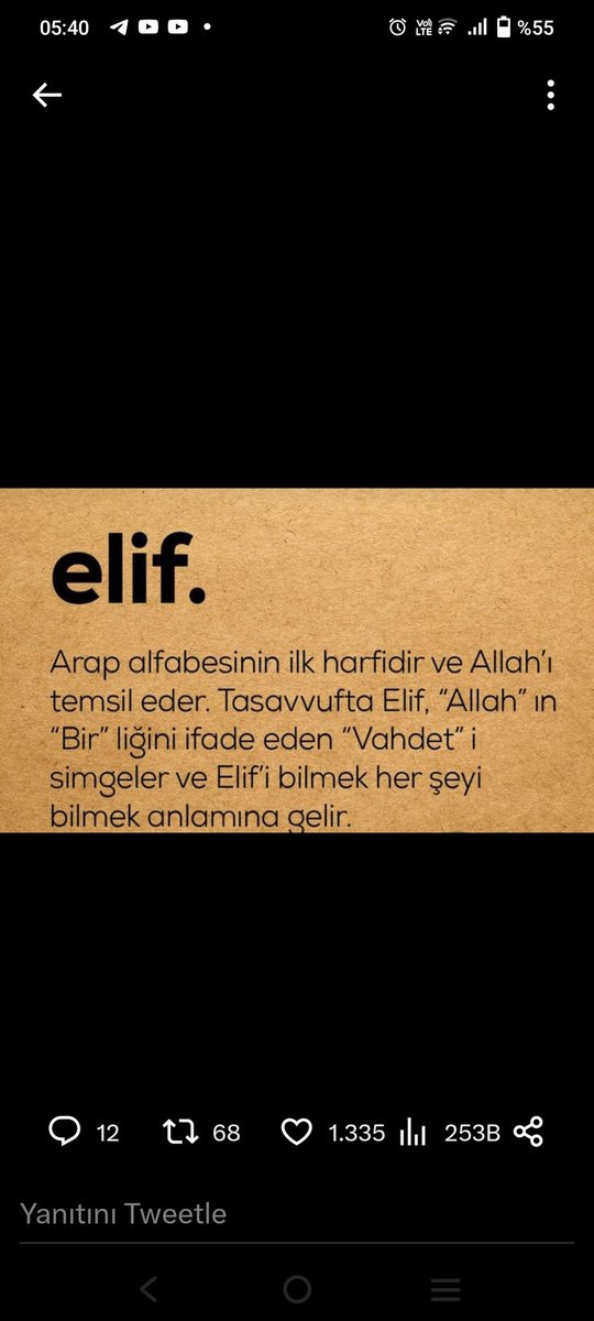 Elif Söylevi tweet media