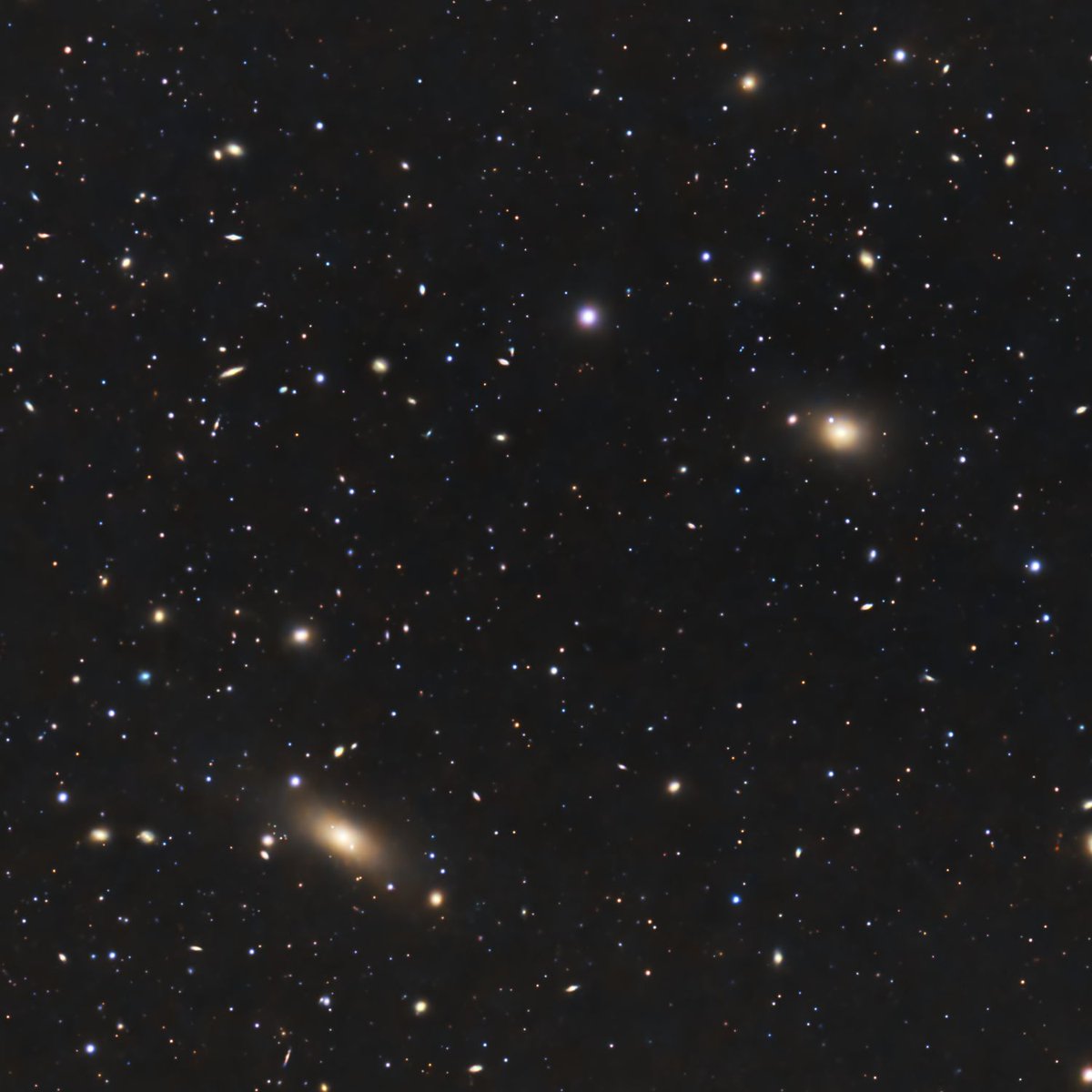 TeroHiekkalinna's tweet photo. Niin paljon galakseja Coman galaksijoukossa! 🔥💥☄️⚡️✨🌟⭐️💫🌙🔭🤩 #avaruus #tähtikuvaus #comacluster #galaksijoukko https://t.co/xpTcI39VeB