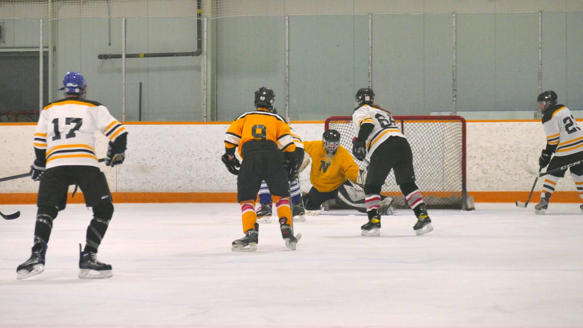 2023 Meadowvale Hockey All Star Weekend - Day 1 - Coach Charity Game

#icepuppys #icepuppies #meadowvalehawks #mmha #mhl  #mississaugahockeyleague #mississauga #meadowvale #cityofmississauga #hockey #minorleaguehockey