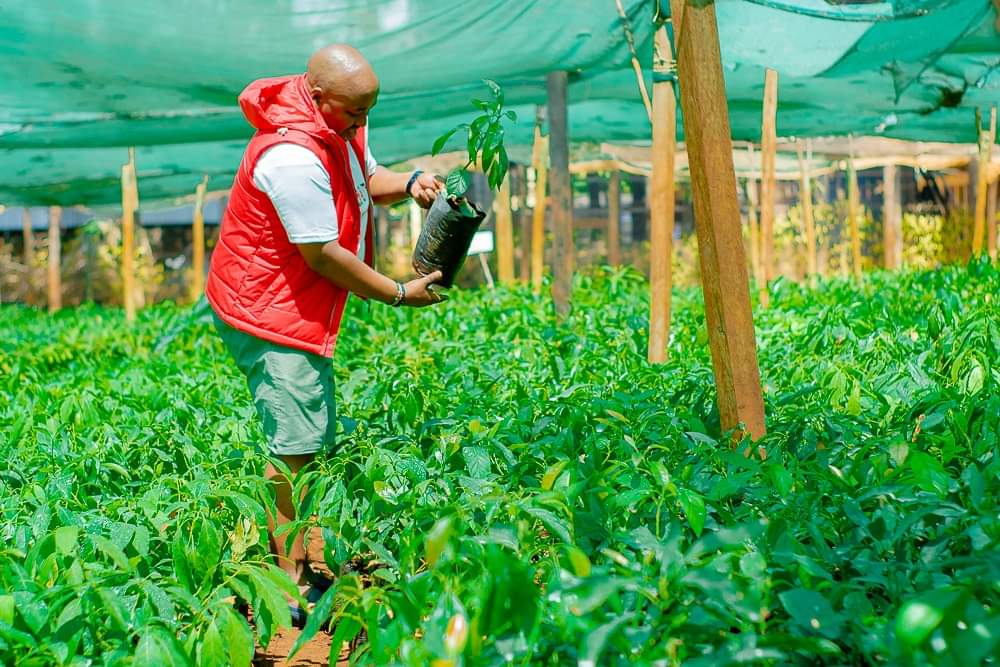 Samuel Maina tweet media