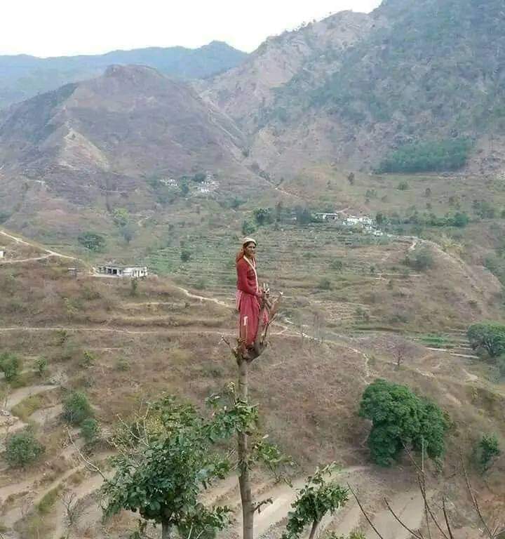 हमारे पूर्वज हमें भीलराज का रास्ता दिखा गए, हम उस रास्ते पर डट कर खड़े हैं,एक बार मेरे समाज की युवा पीढ़ी सही दिशा में चल पड़ी तो वह दिन दूर नही जब "भीलवंश पुनः शासक वर्ग" होगा.....!!
#आदिवासी_मांगे_भीलप्रदेश 
#TSPनगरपालिका_रद्द_करो