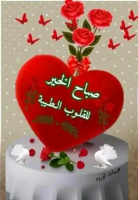 alwyft1's tweet photo. #صباح_الخير https://t.co/KhGGyAEGZa