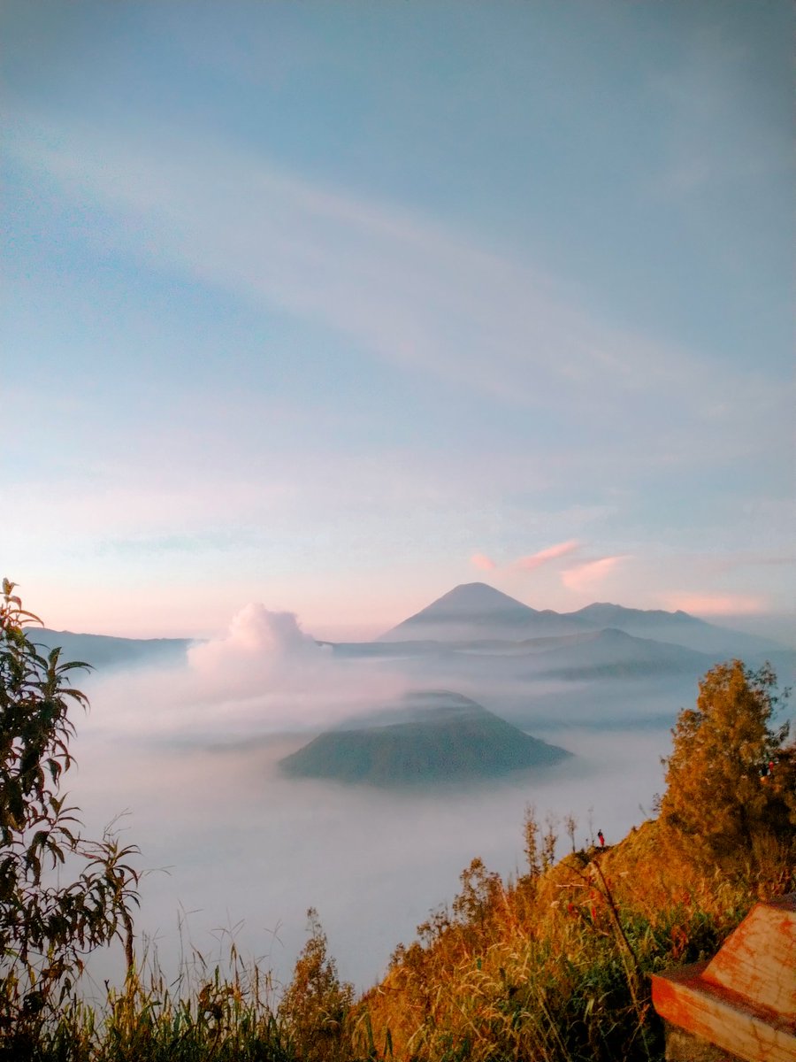 First time ke Mount Bromo, Indonesia 🇮🇩

#ceritabajalang #thossyangel #bromo #bromomountain #gunungbromo #tripbromo #opentripbromo