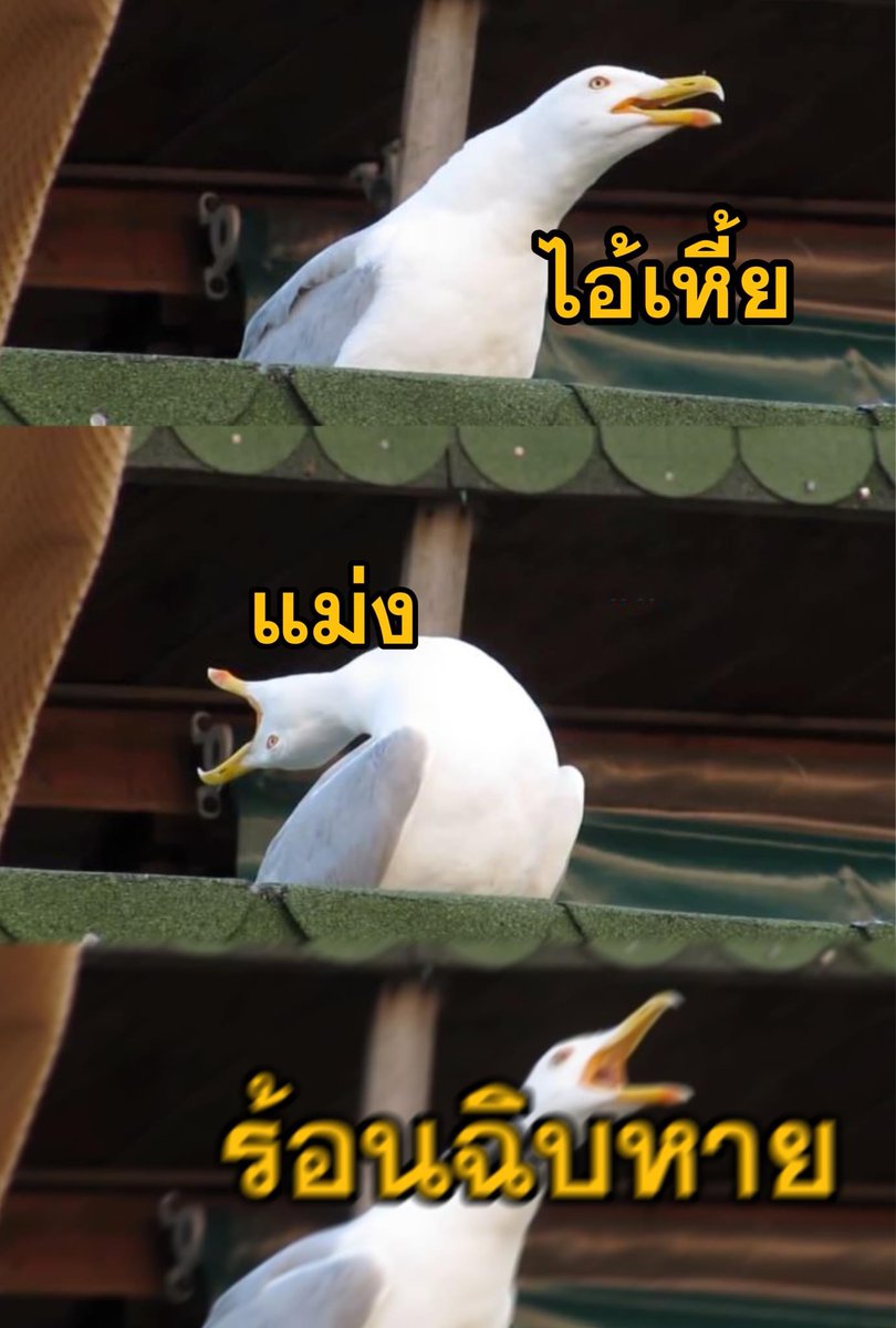 psmark1821's tweet photo. สภาพกูในตอนนี้ : 555555555555555555555555555555555555555555555555555555555555555555555555555555555555 https://t.co/GiM6zbS9MU