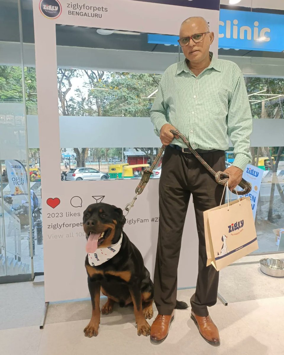 ziglyforpets's tweet photo. #NoCompromise on Happy Furries & #FunSelfies.
Visit a Zigly Experience Center and get one clicked today!
#PetCare #CatsOfInstagram #ZiglyFam #PetInfluencers #CatsCatsCats #ZiglyForPets #PetParents #Dogs #DogsOfInstagram #ZiglyLove https://t.co/malPnBgjGs