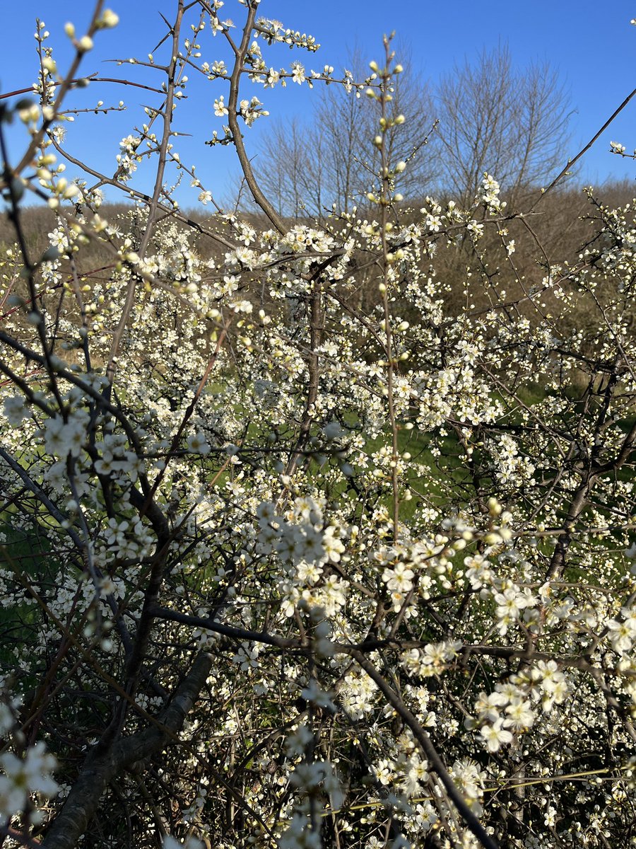 Tam olarak böyleyim :))