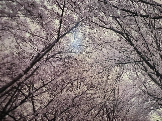 今日は雨が降っています☂️  桜が散ってしまいませんように🌸 https://t.co/33ALT1GOMk<a href="/tag/moca"class="tags"><span>#moca</span></a><a href="/tag/%E7%84%A1%E6%96%99%E6%BC%AB%E7%94%BB"class="tags"><span>#無料漫画</span></a><a href="/tag/%E6%BC%AB%E7%94%BB%E7%84%A1%E6%96%99"class="tags"><span>#漫画無料</span></a><a href="/tag/%E3%83%9E%E3%83%B3%E3%82%AC%E7%84%A1%E6%96%99"class="tags"><span>#マンガ無料</span></a><a href="/tag/%E7%84%A1%E6%96%99%E3%83%9E%E3%83%B3%E3%82%AC"class="tags"><span>#無料マンガ</span></a>