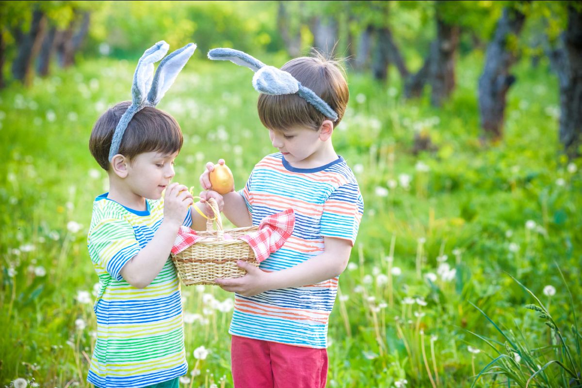 Read the latest Devon with Kids newsletter including 65 cracking Easter activities in Devon plus free fun 🐣 #devon #devonwithkids - mailchi.mp/devonwithkids/…