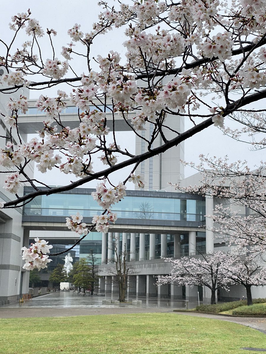 「名古屋コミティア、撤収しました。スペースに立ち寄ってくださった皆さま、ありがとう」|しんりんがく@【と04a】COMITIA144のイラスト