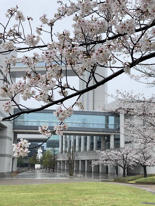 名古屋コミティア、撤収しました。スペースに立ち寄ってくださった皆さま、ありがとうございました!会いたかった相互さんや思いがけないひとにも会えてお話しできて、とても楽しくて幸せなコミティアになりました。たくさんの感謝を込めて 