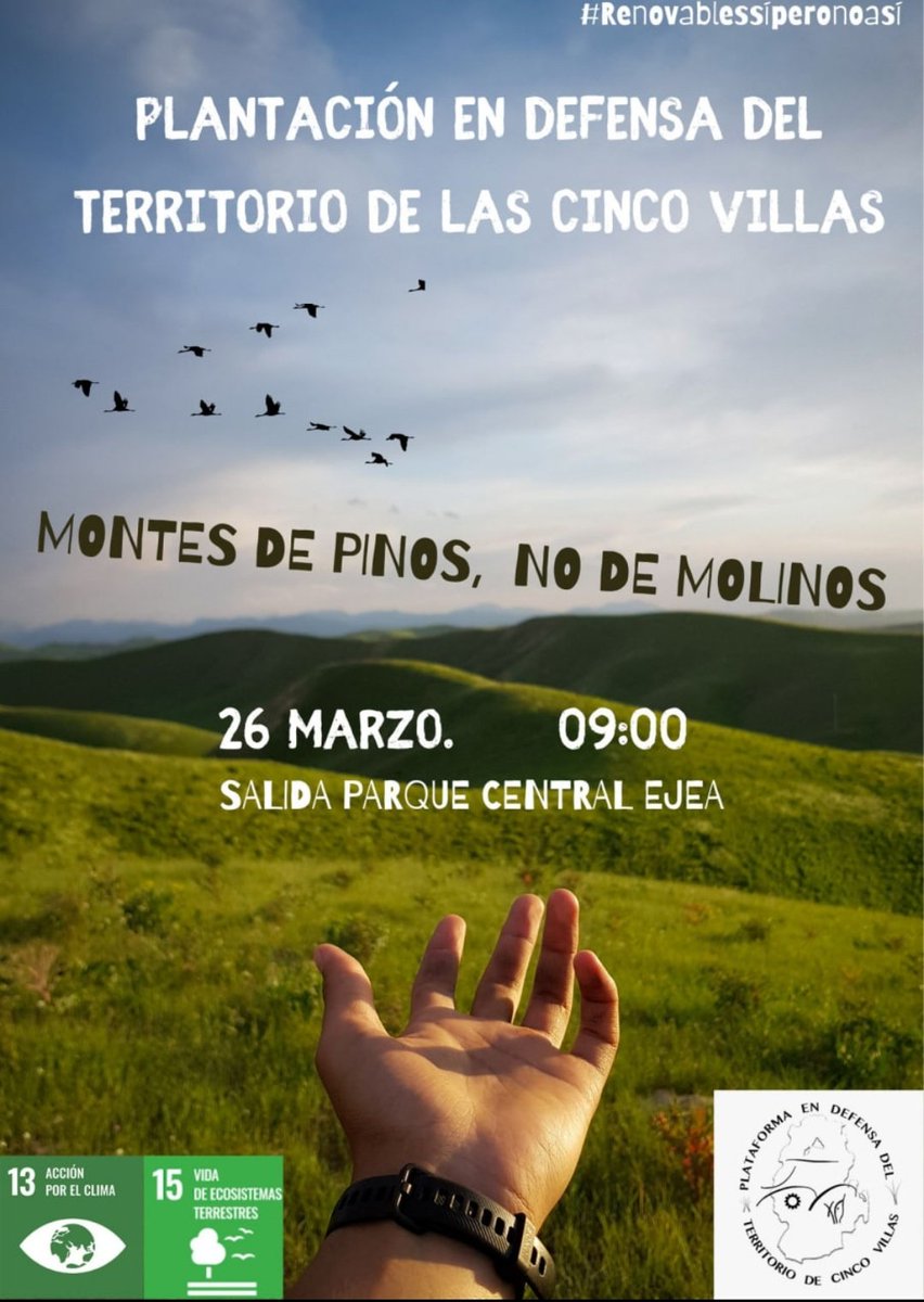 ElenaFabreMuril's tweet photo. A plantar!! @territorio5v @ApoyoMutuoAra  #Tauste #Exeya https://t.co/YFpdlmc7n5