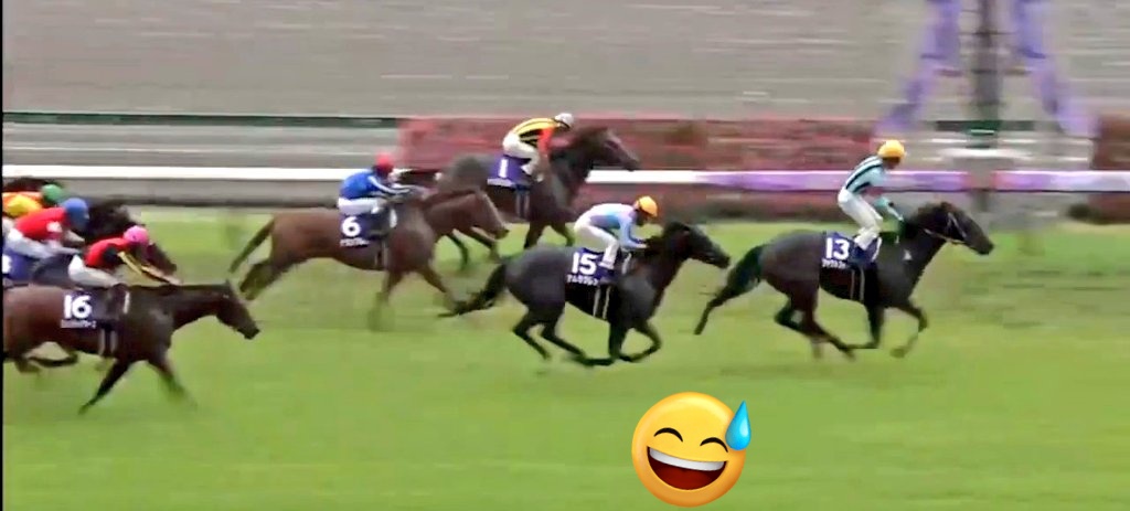 ファストフォース.1200㍍の日本Rを始め高速決着に良績が多く道悪で疑いの目も有りでしたが、考えてみれば、道営時代に門別重たい馬場に適正有りでした...アザワクをちぎった競馬もありました(道営時代の主戦は阪野学😅)
先生と団野君とグータッチ!!✊よりも...バレットの娘👧のちょんまげに目が向く🤣