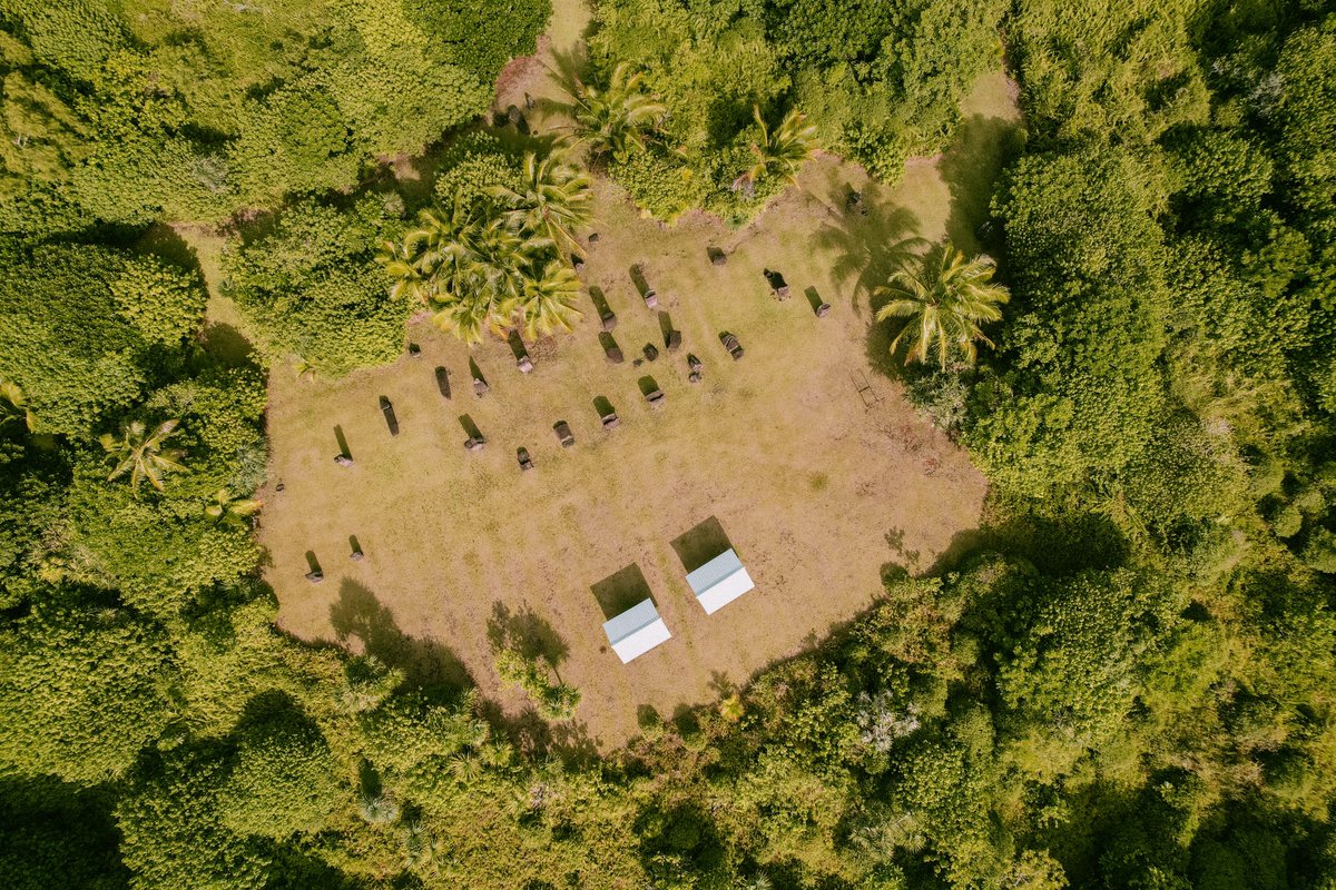 visitpalau_'s tweet photo. Walk through this ancient site containing the famous stone monoliths and plaza of carved faces in a savanna area surrounded by terraces. Found no-where else in Palau, the site has been dated as far back as A.D. 161. https://t.co/RfPnmz647v