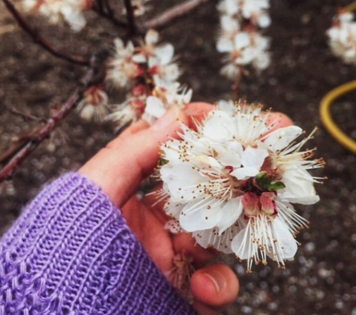 Gözlerin geldi aklıma hayale daldım 
Sezen Aksu misali
Ben sende tutuklu kaldım...💞