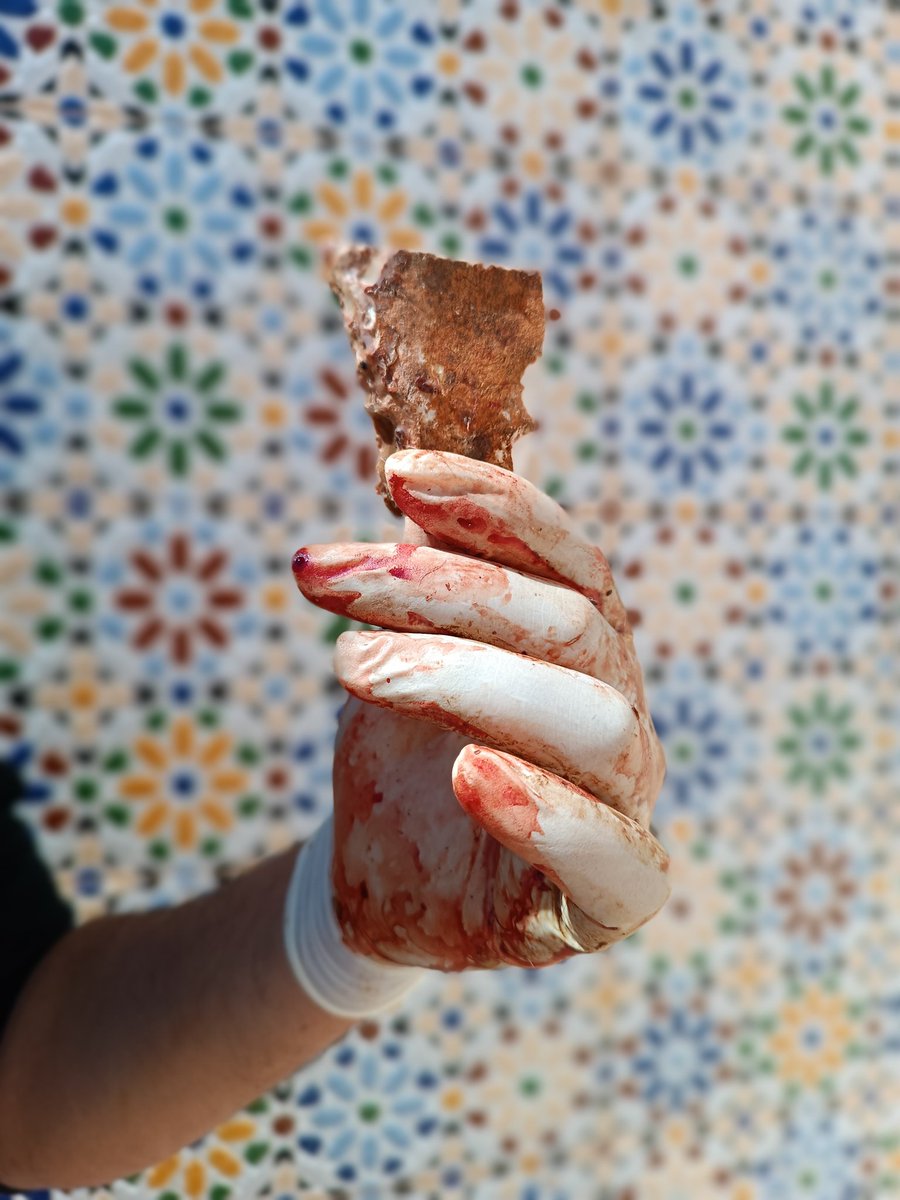 Experiment of hide processing using flint !