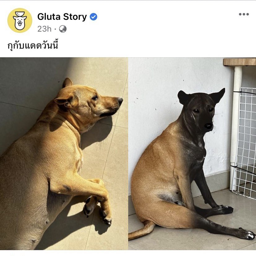 ขอใช้คำว่าเกรียม