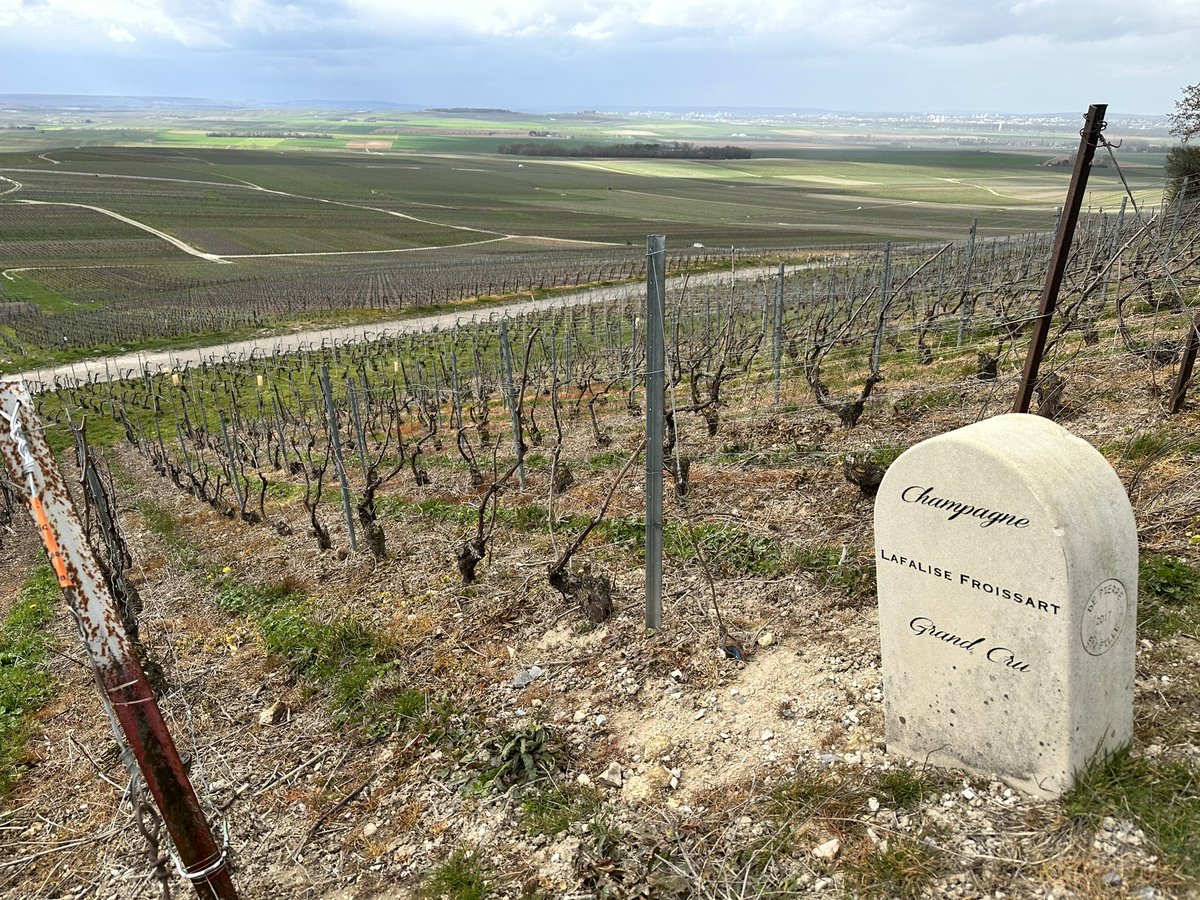 Clive Bailye tweet media