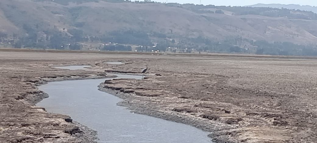 Mosesnoah254's tweet image. The next world war will be caused by #water scarcity. Our present oblivion will cost our hereafter. #UNWater2023Conference #SustainableLiving #EnvironmentalJustice #ClimateJusticeNow