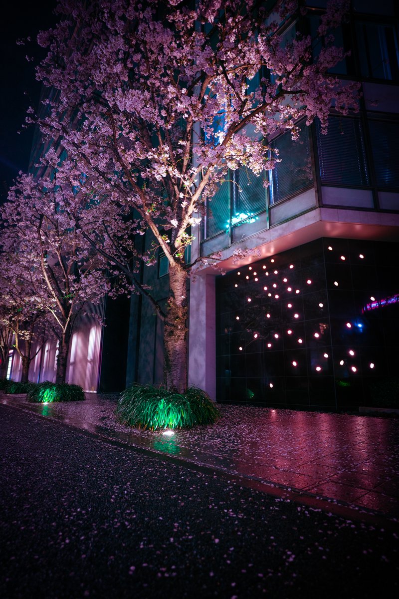 TOKYOLUV tweet media