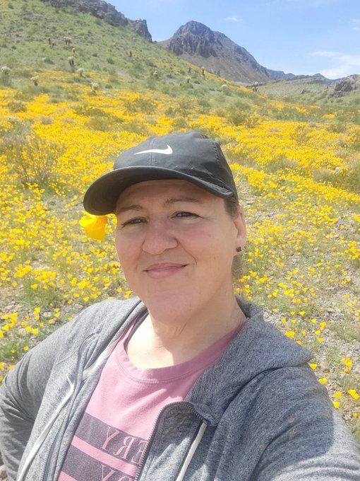 Super bloom in Arizona. The poppies were absolutely beautiful. Let's see all the super blooms in your<a href="/tag/mvsales"class="tags"><span>#mvsales</span></a>