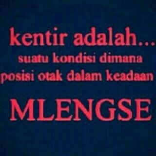 Ndagel_Plus62's tweet photo. Cek sekk mlengse po ora https://t.co/gcQEXxpBDD