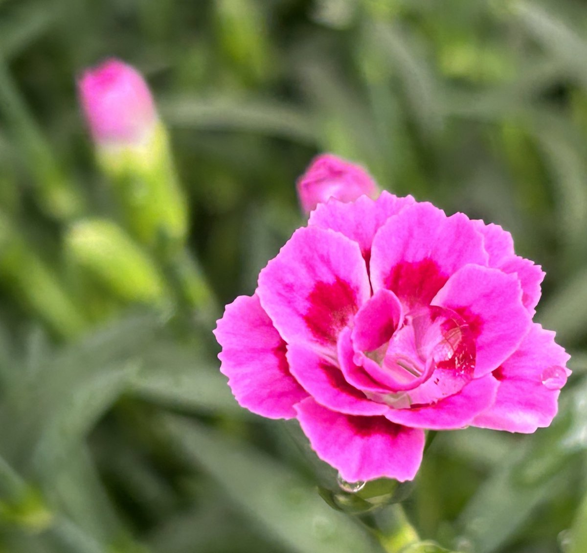 svetlana01090's tweet image. 🍃