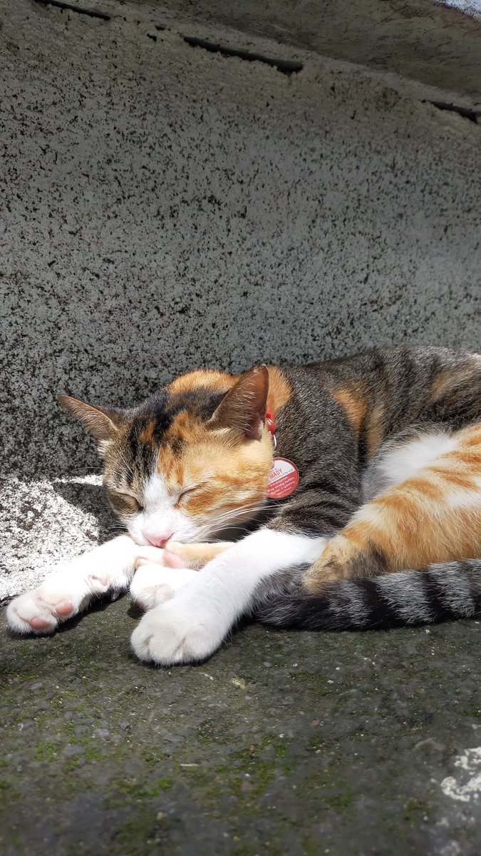 sleeping mady (1)