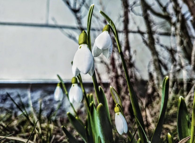 Serap_S_1903's tweet photo. Gece saati ileri alıp uykumdan 1 saat çalan alemanyanın saat sistemi kapatılsın. 🥳 Hiç kışı uğurlamak istemesemde; #SpringIsLoading Günaydınlaarr (: https://t.co/Klbi8o97DE