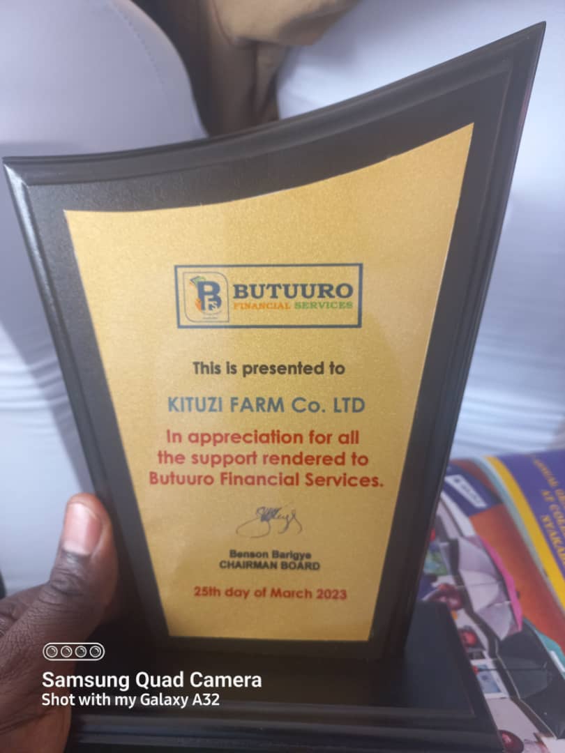 sandrahAyebare's tweet photo. Live from Bushenyi. #Kituzi https://t.co/e8SxOzgoCU
