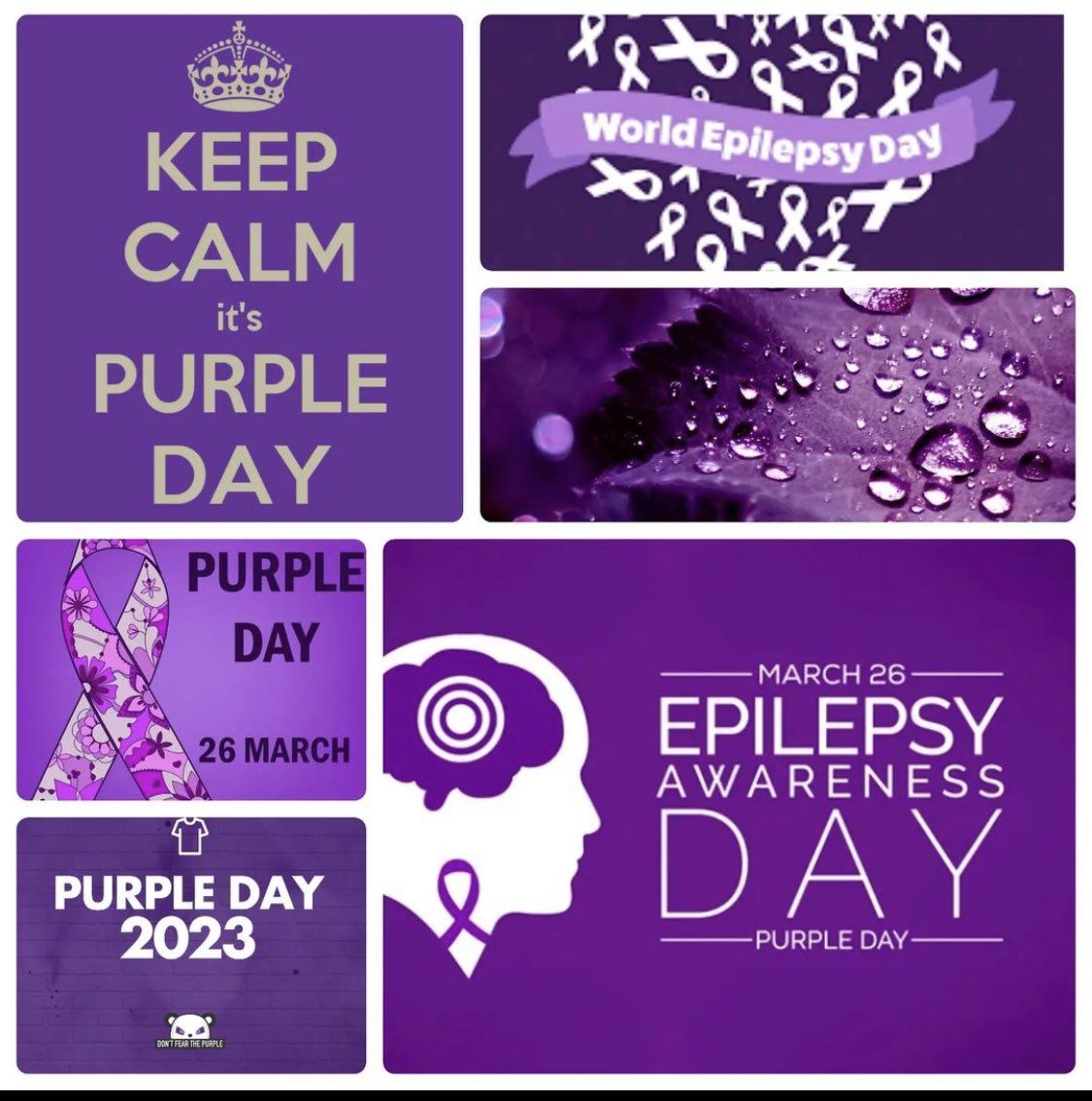 bigdan1989's tweet photo. Purple Day is the biggest international fundraising and awareness day in the epilepsy calendar. https://t.co/TdRu8Qy6xe