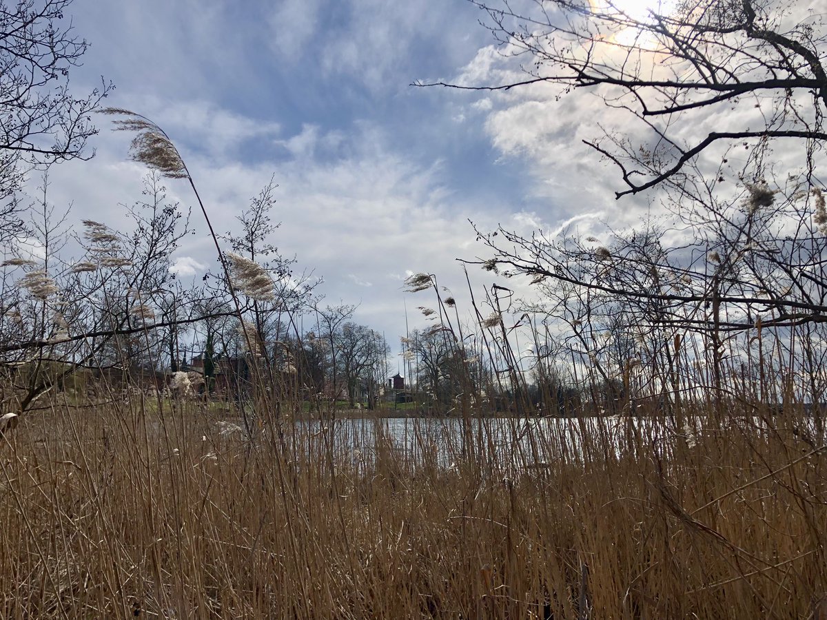 Laura Krug tweet media