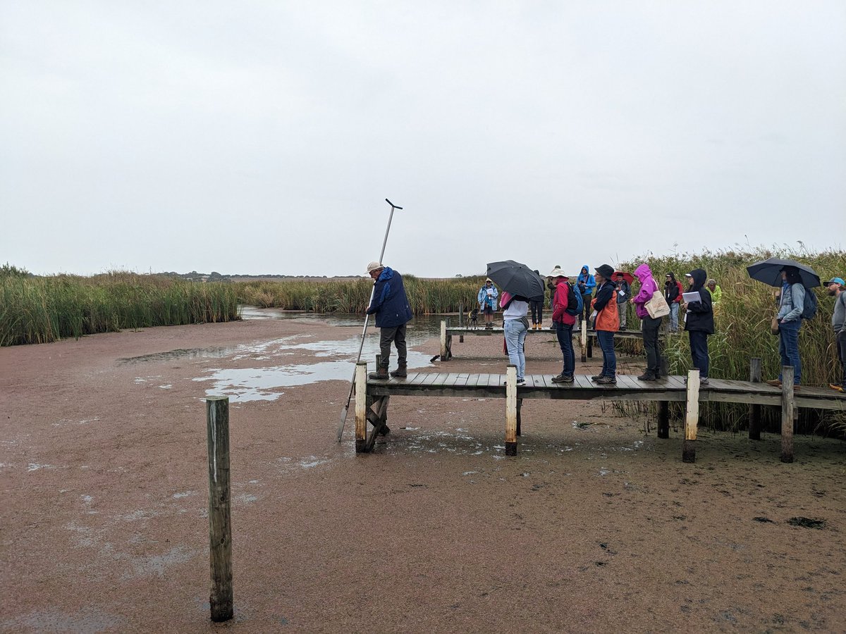 DrVanessaWong's tweet photo. Great pre-conference field trip on the International #acidsulfatesoils conference down to the lower Murray seeing the effects of high water levels on Lakes Albert and Alexandrina and led by @em_ley , @envir_scientist and enthusiastic Rob Fitzpatrick
#iassc23 https://t.co/oB7py0oE1T