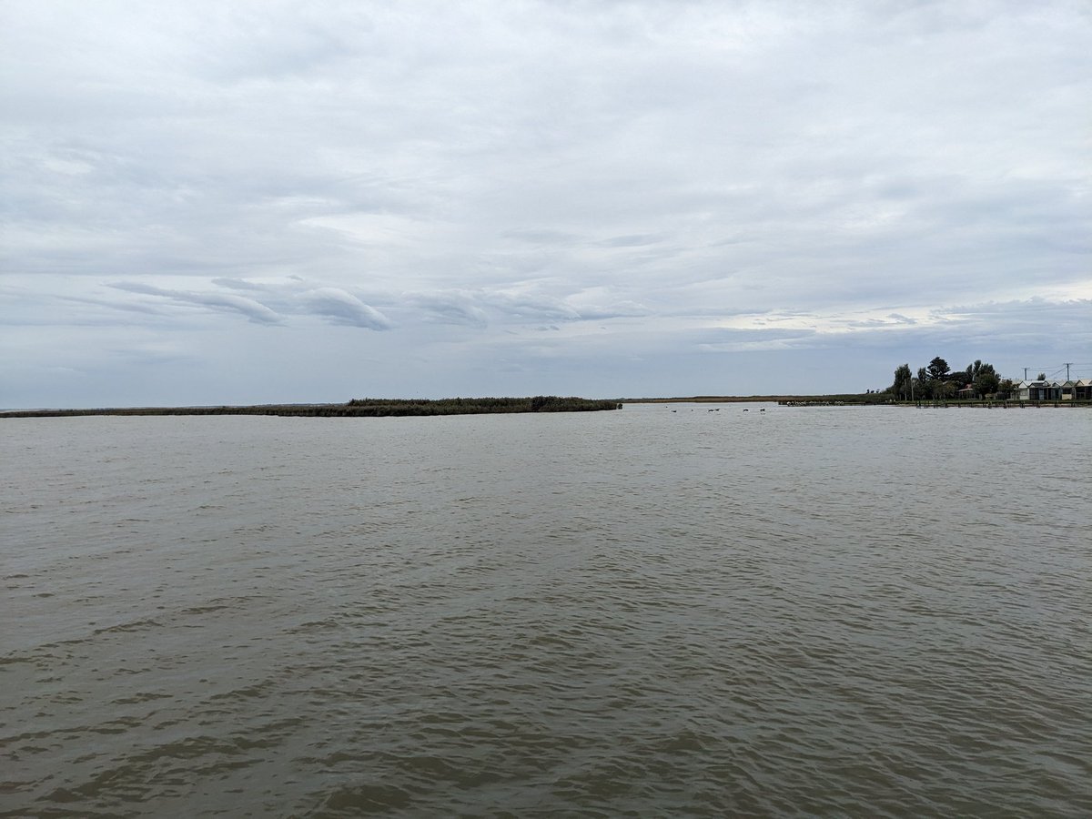 DrVanessaWong's tweet photo. Great pre-conference field trip on the International #acidsulfatesoils conference down to the lower Murray seeing the effects of high water levels on Lakes Albert and Alexandrina and led by @em_ley , @envir_scientist and enthusiastic Rob Fitzpatrick
#iassc23 https://t.co/oB7py0oE1T
