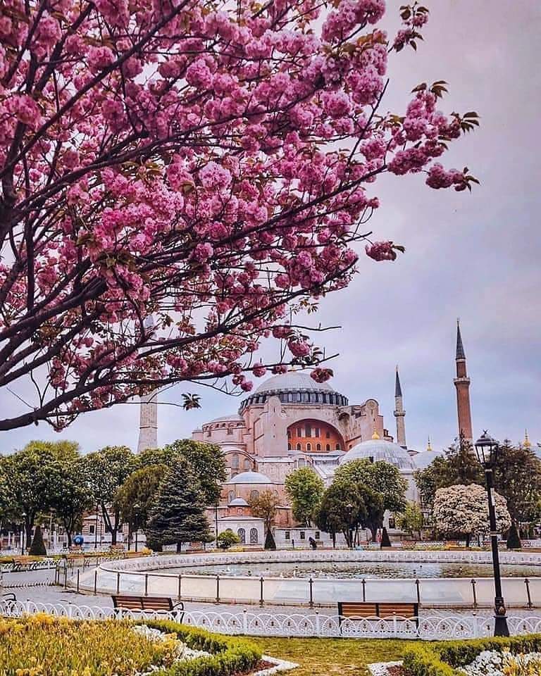 Günaydın ☁️ 
 
#sultanahmet #istanbul l #pazar
#gununkaresi