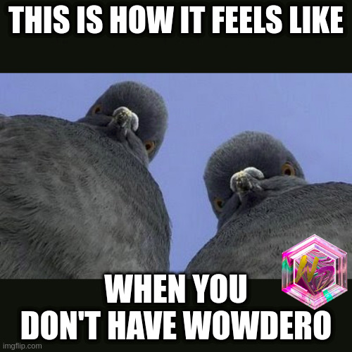 ochendobrij1's tweet photo. @WOWDEROofficial
$WOWD #wowdero
$DERO #DERO $wow
dero1qyt7khwzlwc7kwl43ww6245lyjppffnuwsrllxdqe7n4ce02khrfcqg0702am https://t.co/zm8xq2ofMm