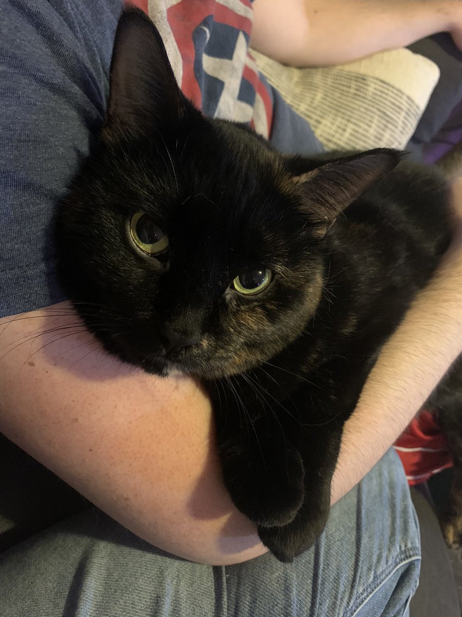 Look at my perfect precious baby. LOOK AT HER.