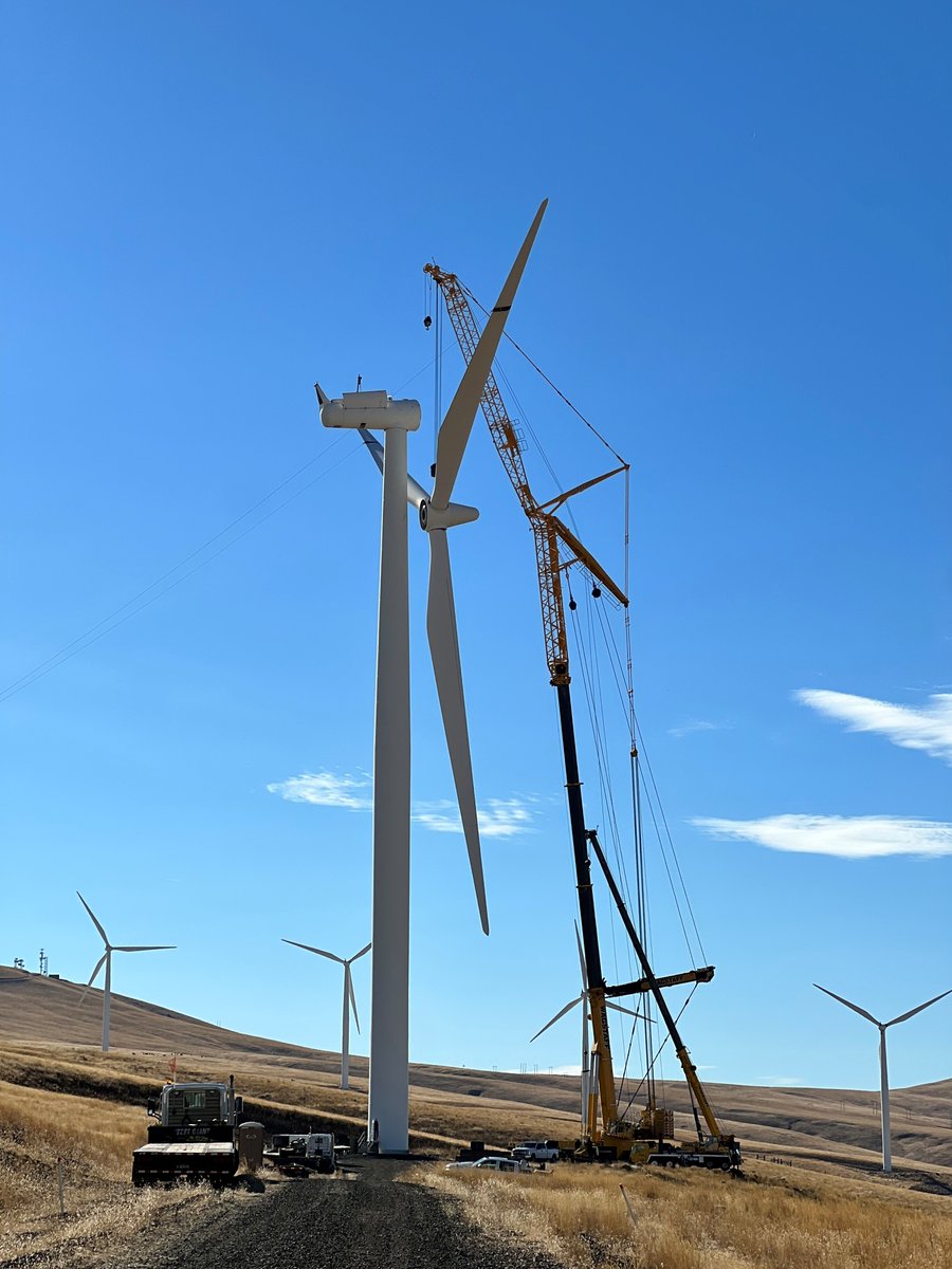ZF_Group's tweet photo. #Thrive, #ZFWindPowerβs service concept, repowered the Cannon Powerβs Windy Flats wind farm. In only 18 months all non-ZF gearboxes were replaced. πͺ #forcontinuousavailability
Discover the project in the testimonial
π
https://t.co/uPAmrwT7eq
#gearbox #ZF #windpower https://t.co/XYtYQCqFqR