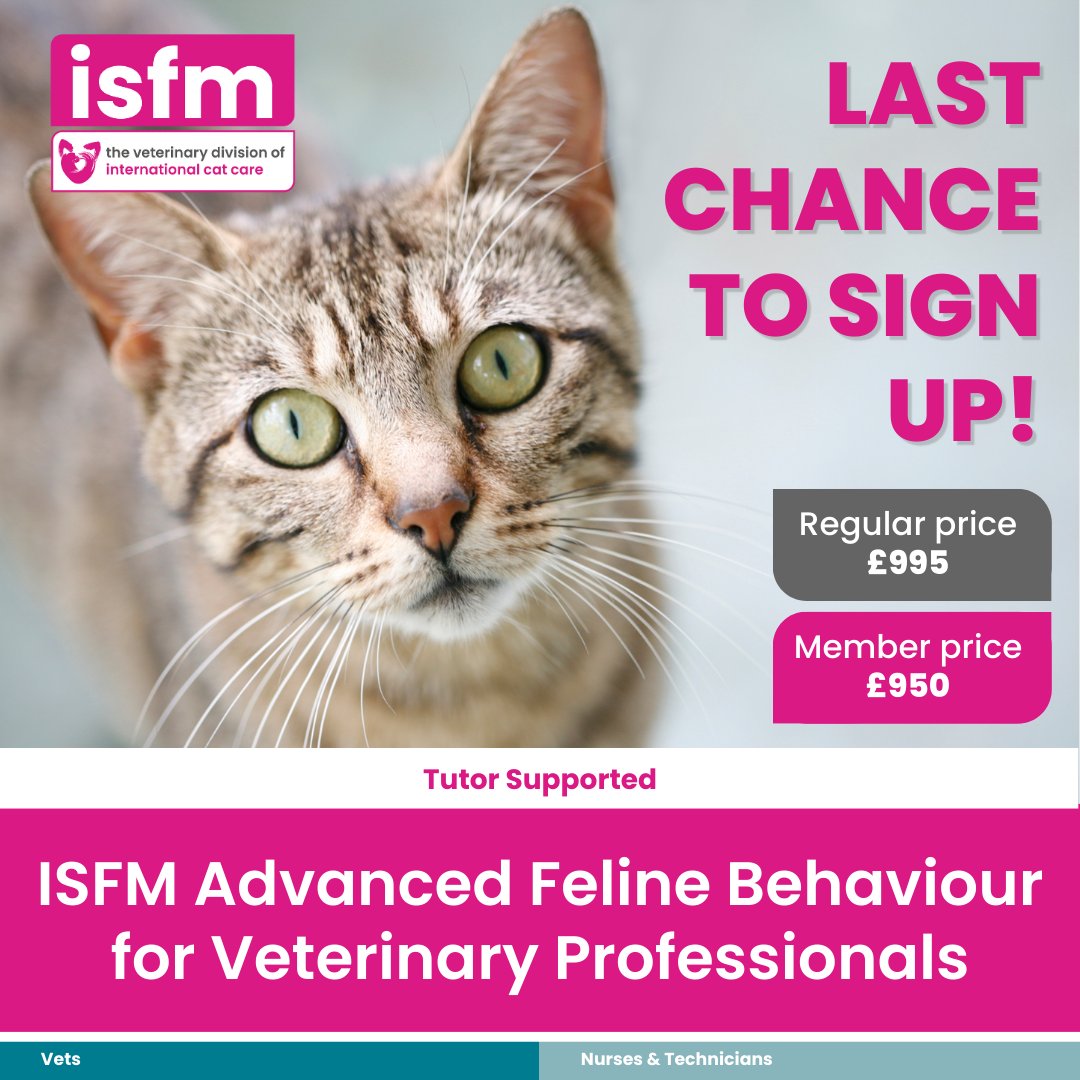 ISFMcats's tweet photo. ⏰ Last chance to sign up this year! Don’t miss out on becoming the feline behaviour expert in your clinic! 🐈
Find out more and register today 👉 https://t.co/HSEKfPXQjW
#VetCPD #FelineLearning https://t.co/WM80cO7Li9