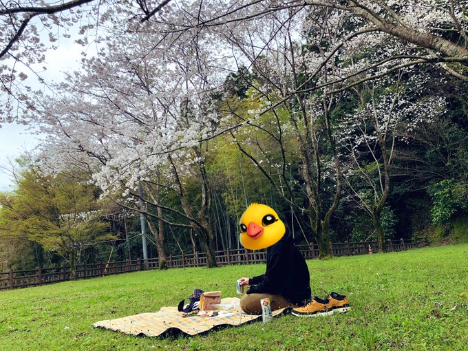 「昼間 ピクニック」のTwitter画像/イラスト(新着)