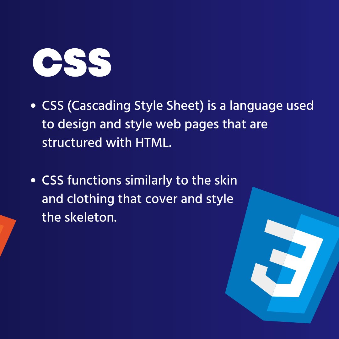 webdevinsiders's tweet image. 🚀 Want to become a frontend developer? Check out this beginner's roadmap to kickstart your journey! Learn HTML, CSS, JavaScript, and more 🌟 #frontenddevelopment #webdevelopment #beginnerroadmap
