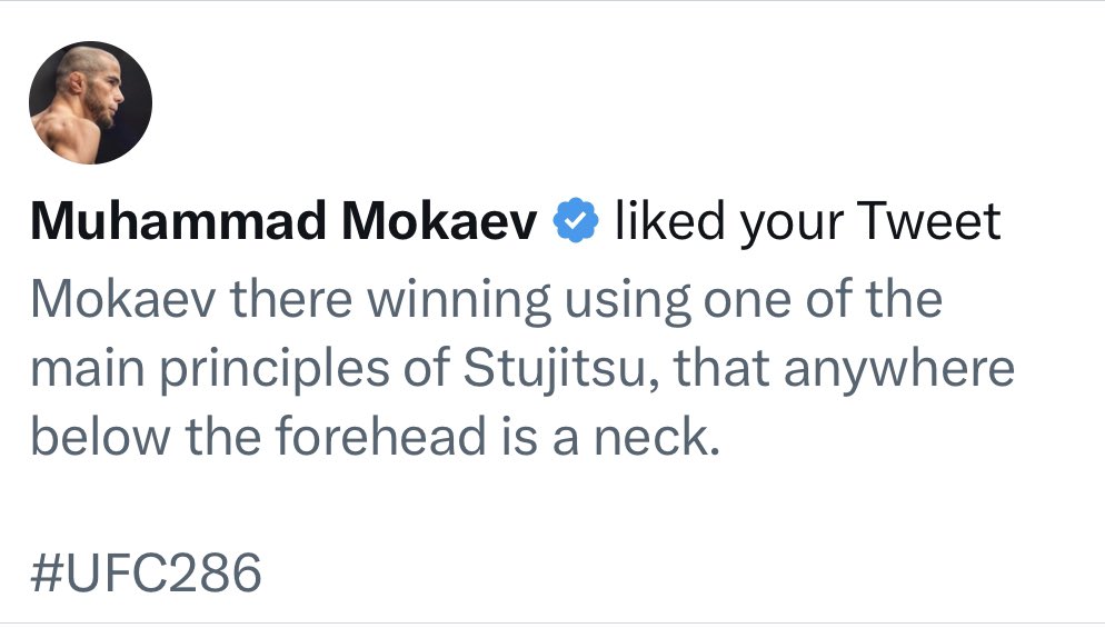 StuJitsu3_16's tweet photo. Nice bit of acknowledgement from actual Muhammad Mokaev here. Thanks for helping to build the brand.
#Stujitsu https://t.co/ZGm9OLDyoW