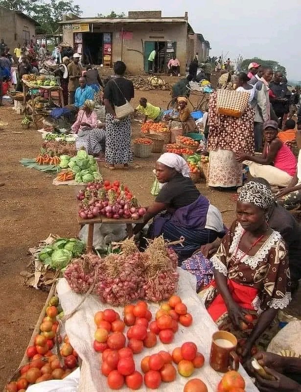 SemeWani's tweet photo. Morobo County of CES, before the 2013 &amp; 2016 #SouthSudan crisis. A peaceful environment and our involvement in agriculture will reduce the dependence on imported food stuff to feed the population. 📸 Haka Lawrence via @emmmanuel_woja FB post. https://t.co/KTh1mqQikP
