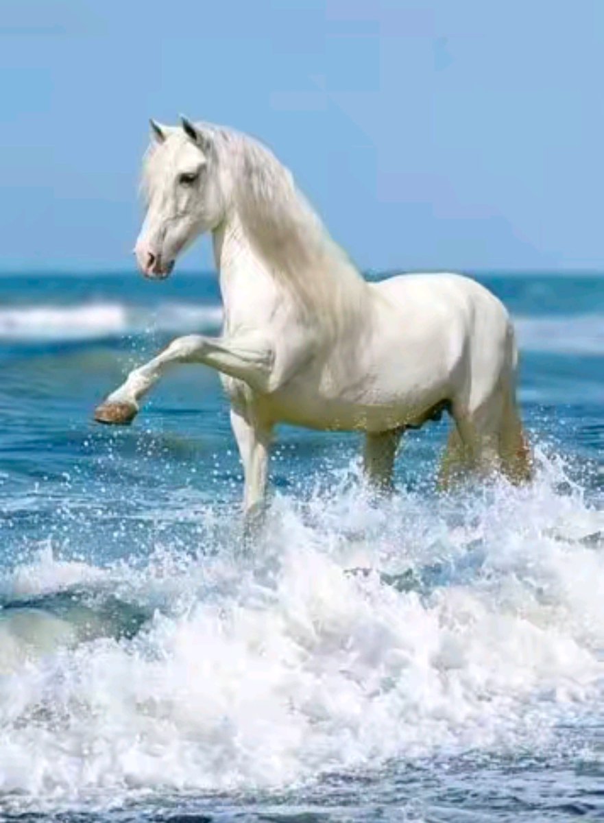 ▼Follow my friends♪ 

<a href="/italianostyle2/">Frankie D....TEAMSTALLION</a> <a href="/PaulTwigg4/">Paul</a>
<a href="/MarEthr/">👉 Mark 28K 😜👇</a> <a href="/SiscoMGWV/">🔶️Sisco #1DDrive 113k🔶️</a>
<a href="/Leiluna9/">◻Leilla◼</a> @ruby2015xo
<a href="/ME_1b/">MarkE</a> @GRAHAM15583070
<a href="/Alaga4040/">︎︎Osas 🪖🪖</a> <a href="/glenton123/">Mark Glenton/ Mindfrontiers🤵🧐</a>
<a href="/DazzDazz2/">@DazzDazz2 #MGWV</a> <a href="/ArteNoas/">Arte Noas</a> 
<a href="/MarcelaErcia/">🕉MARCE🐉⚖ #MarceTeAyuda🔮#MarceLive🔄 Meme y Popi</a> <a href="/louzival2011/">🇧🇷Louzival 2011 MGWV</a>
<a href="/MarceTeAyuda/">🕉MARCE🐉🏆 #MarceTeAyuda🔮 #PrimeroDios✝</a> @SOBATSETIA_NKRI
<a href="/Imagine269/">༺❀ ᑕᖇISTIᑎᗩ ❀༻#MᥲɾᥴᥱTᥱAყᥙᑯᥲ🔮</a> @QS3482 
 
👉#TEAMSTALLION🐎
👉#TM_RUBY🌹