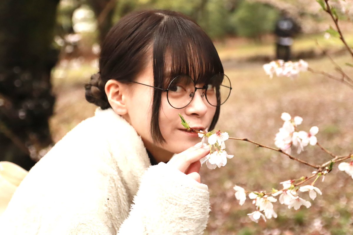 kousyo_z's tweet photo. 2023.3.25 代々木公園
🌸さくらとわんりん
#フラバルー
#ふらばるー
#王零々 https://t.co/ekzo1KaSpg